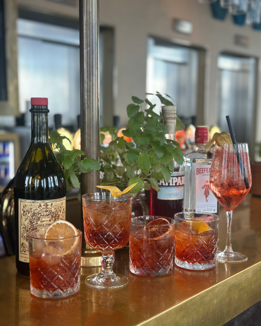 Negroni Instagram